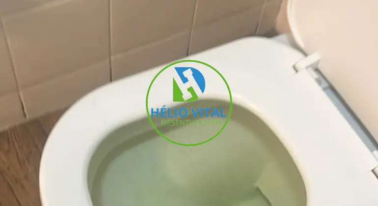 Desentupimento de Vaso Sanitário
