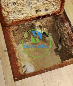 Desentupidora de Caixa de Gordura - Desentupidora Hélio Vital - (85) 9 9671-6232 - Fortaleza - CE: ligue 24 hs e tenha orçamento grátis 24 hs